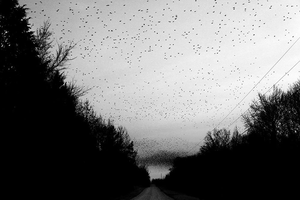 Photograph 36 of 68 by Tyler Bissmeyer