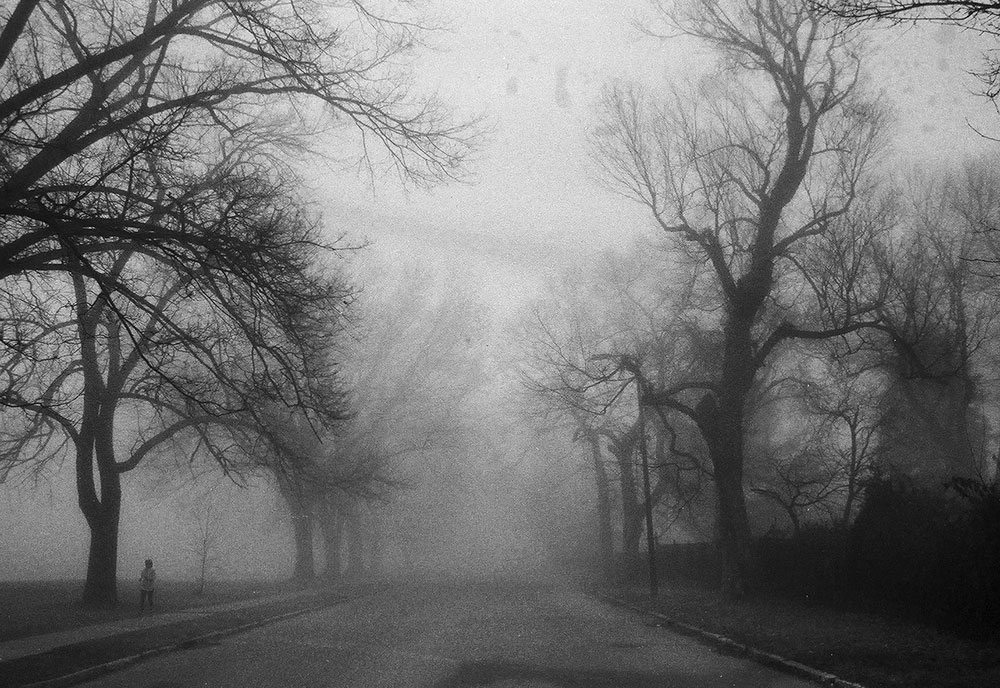 Photograph 41 of 68 by Tyler Bissmeyer