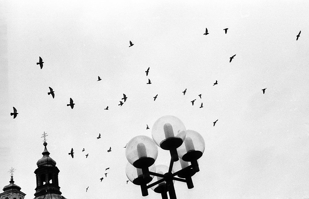 Photograph 48 of 68 by Tyler Bissmeyer