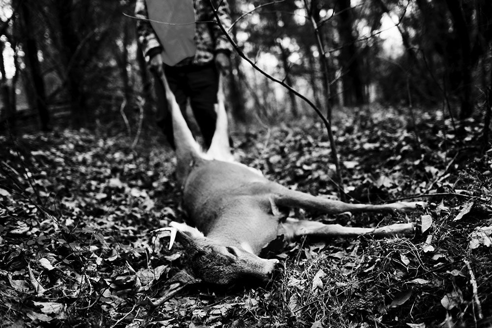 Photograph 65 of 68 by Tyler Bissmeyer